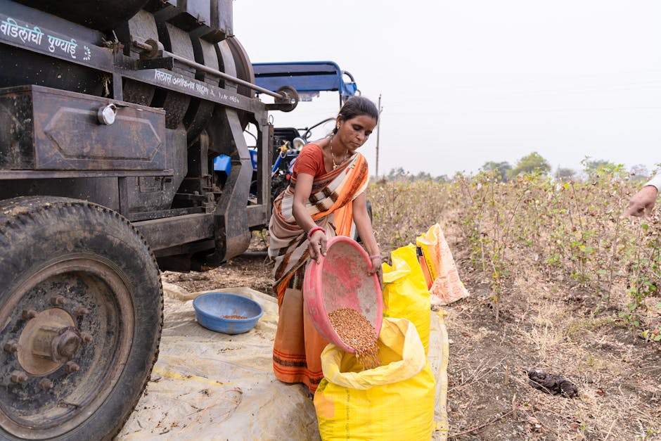 Financiamento agricultura familiar