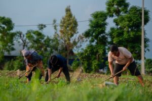 Conflitos agrários Rondônia