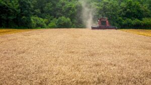 exportação de soja Brasil