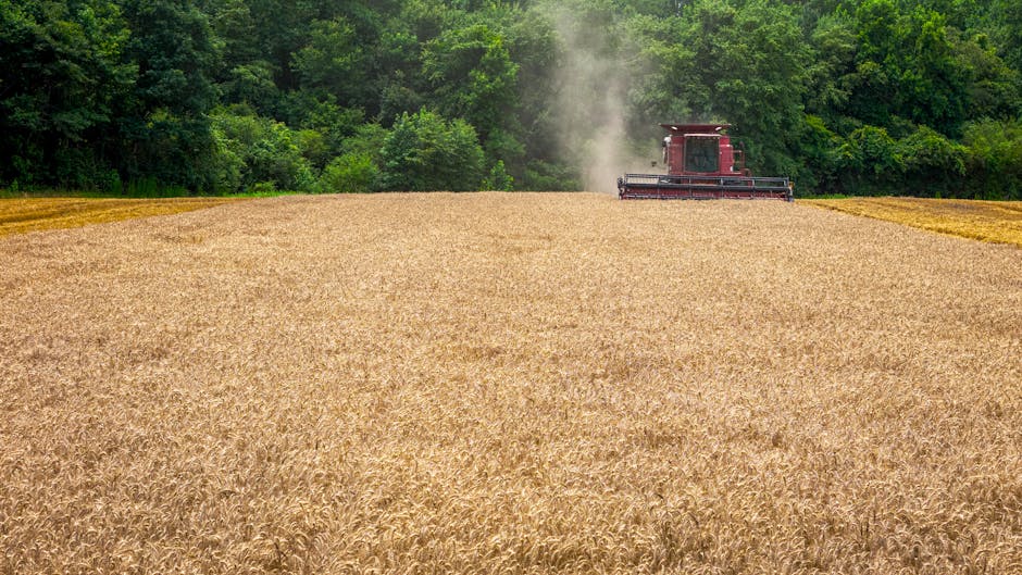 exportação de soja Brasil