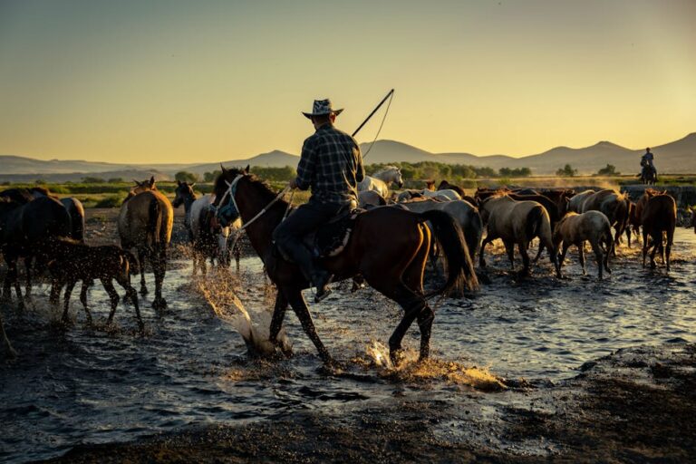 personagem controverso Yellowstone
