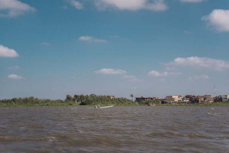 Piraíba Rio Araguaia