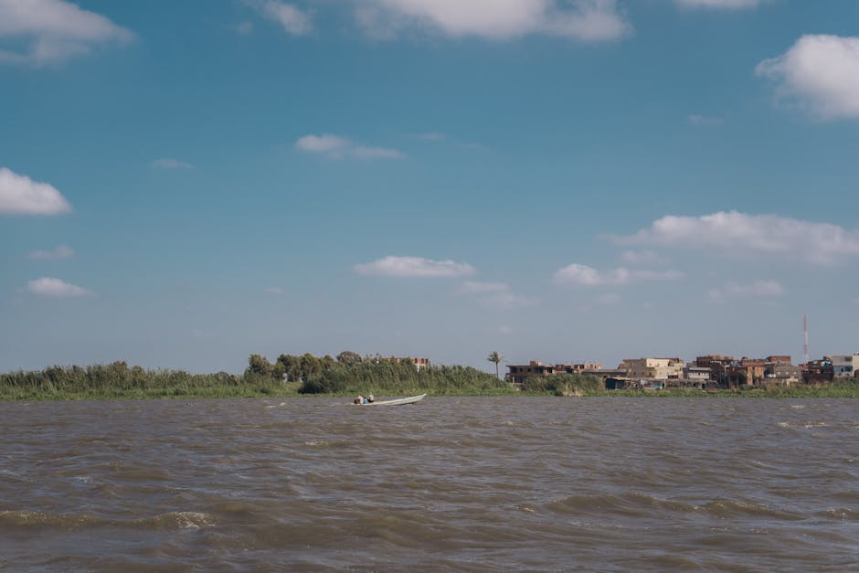 Piraíba Rio Araguaia