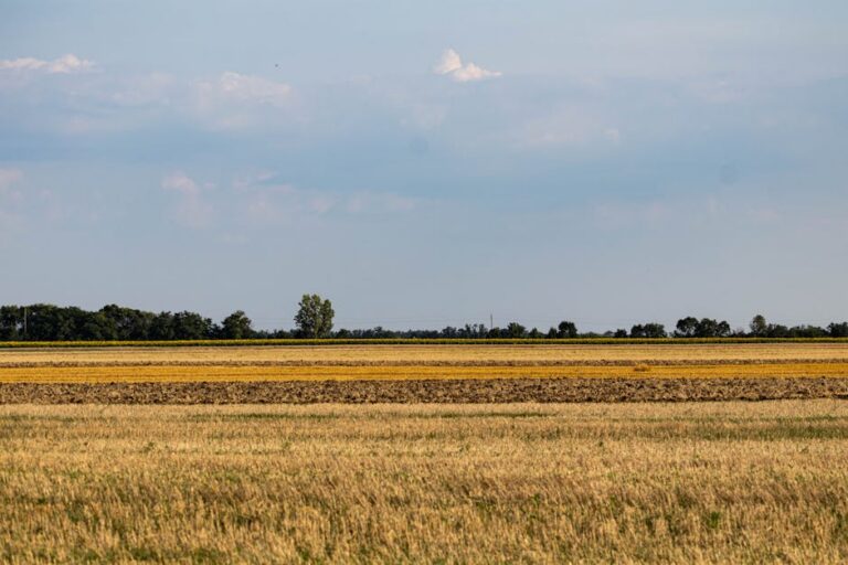 Mariângela Hungria influência na agricultura
