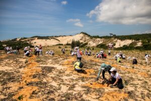 recuperação área degradada Cerrado