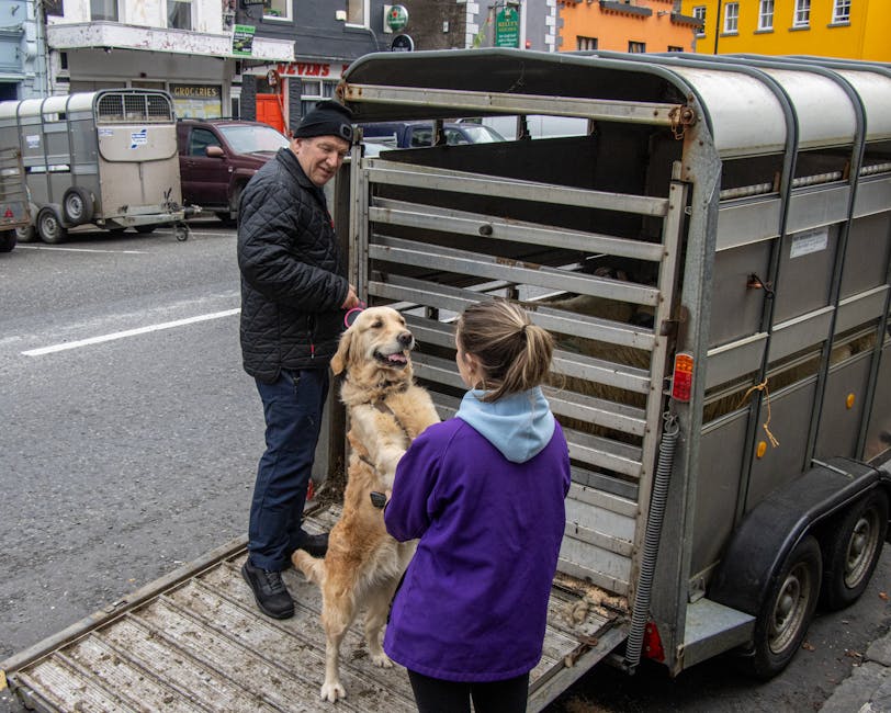 carrinho para cães