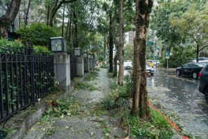 Defesa Civil granizo