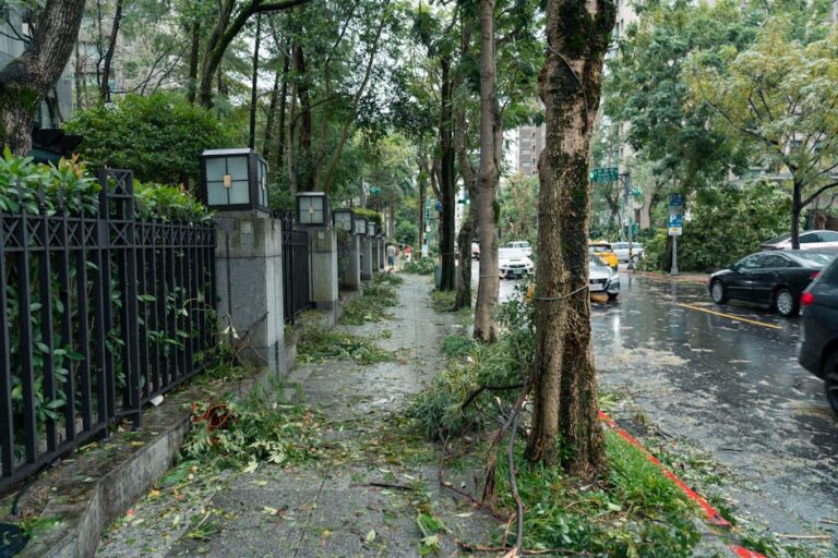 Defesa Civil granizo