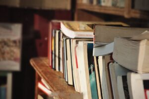 Freida McFadden identidade