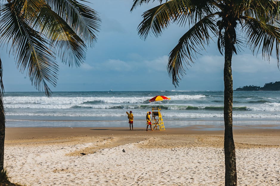 previsão do tempo Salvador