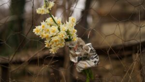 motorista mineiro morto