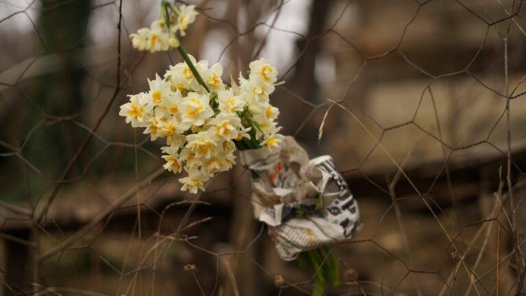 motorista mineiro morto