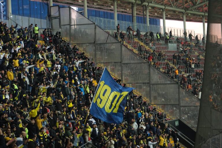 Botafogo Sul-Americana