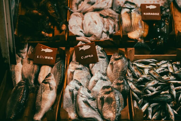 preço tilápia Espírito Santo