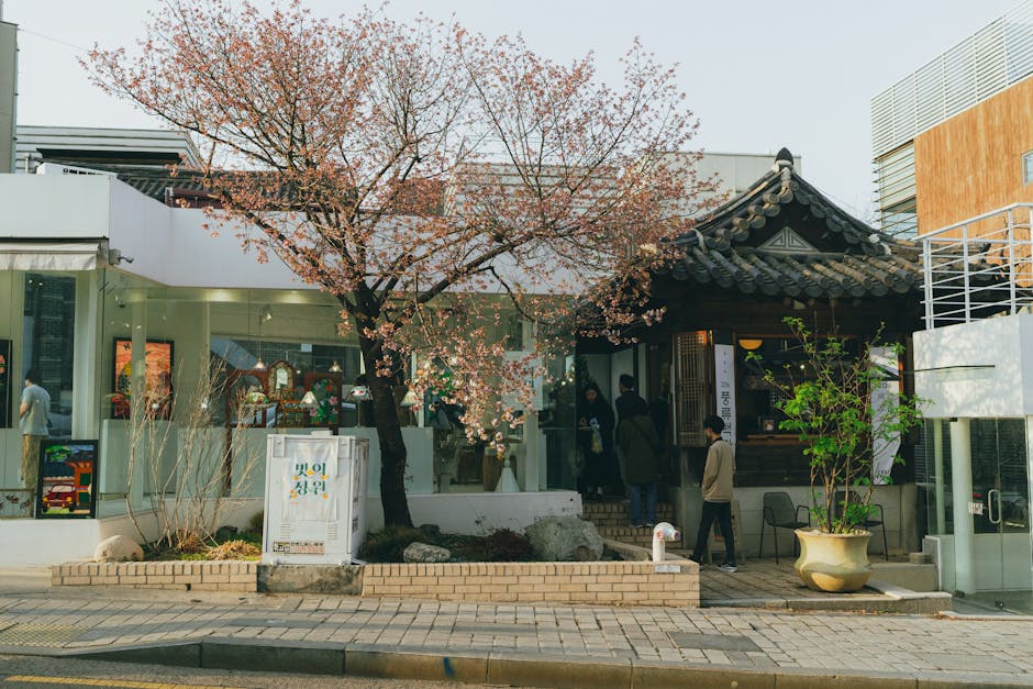 Kim Seon Ho café de sobremesas