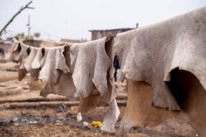 couro vegetal comestível