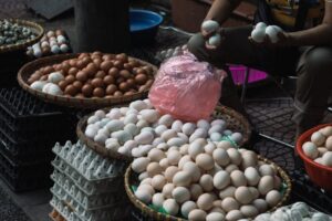 Menino empreendedor ovos