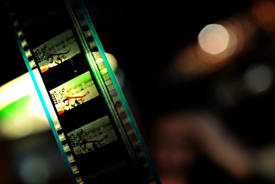 FernGully live-action