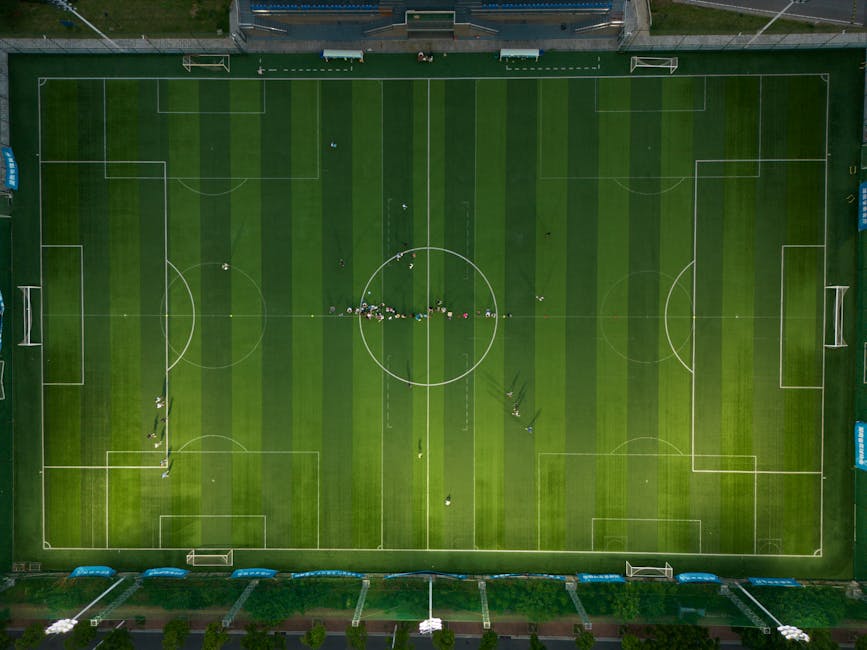 Palmeiras treina Bahia