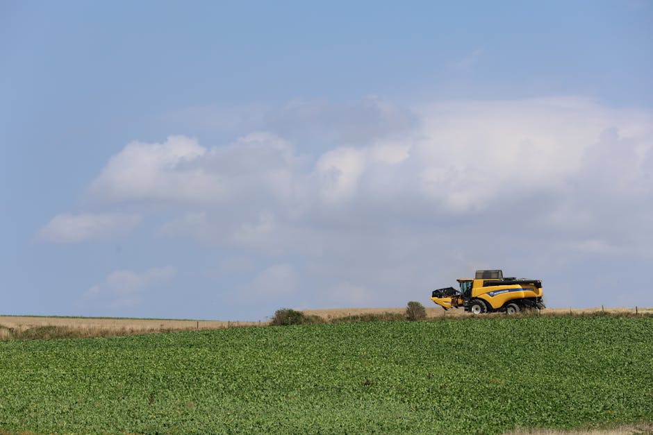 Crise produtores soja nos EUA