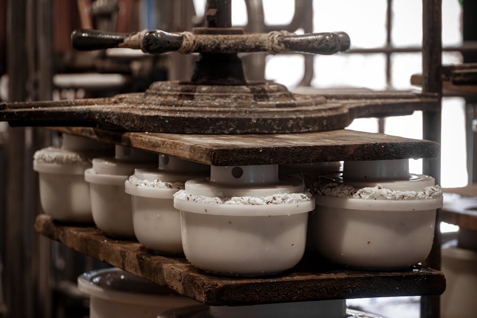 Queijos Espírito Santo