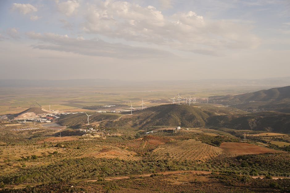 Regras ambientais Parque do Prosa