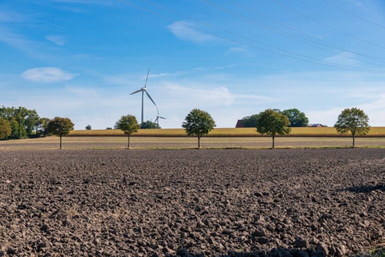 produção de etanol em Mato Grosso