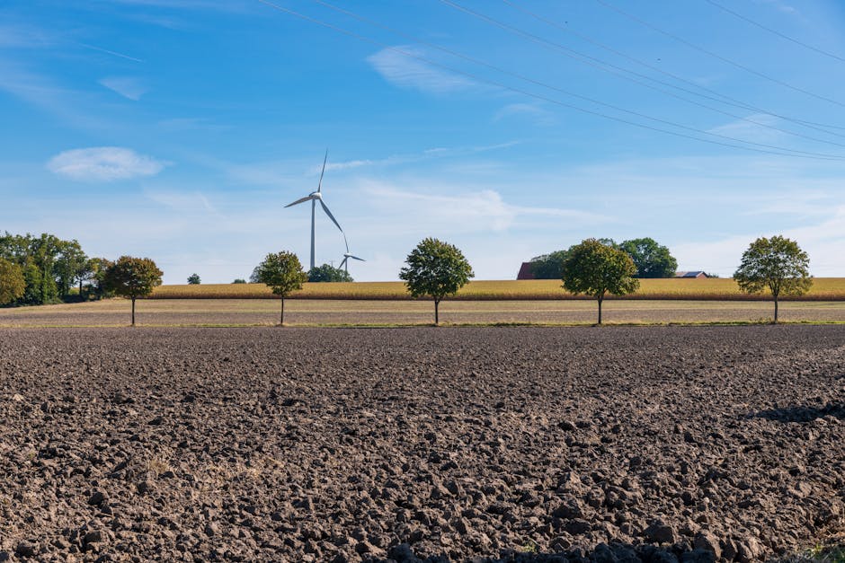 produção de etanol em Mato Grosso