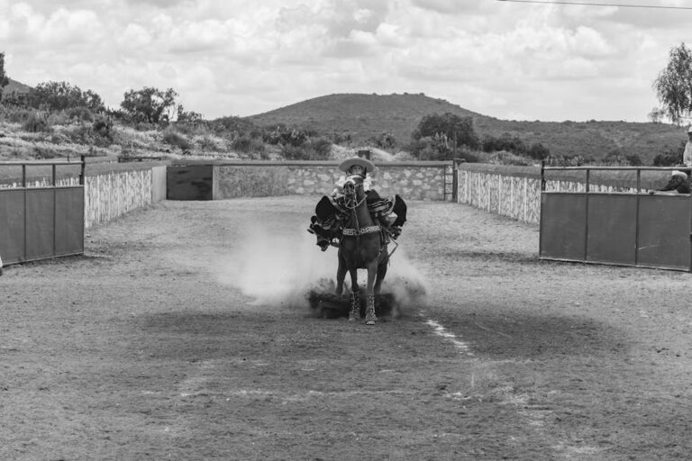 Zorro nova série com Jean Dujardin