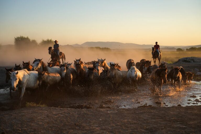 Dutton Ranch Yellowstone