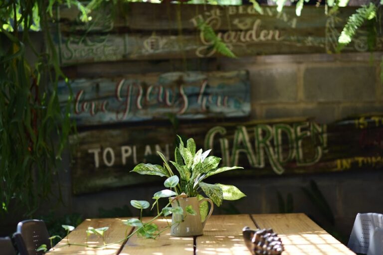 jabuticabeira dentro de casa