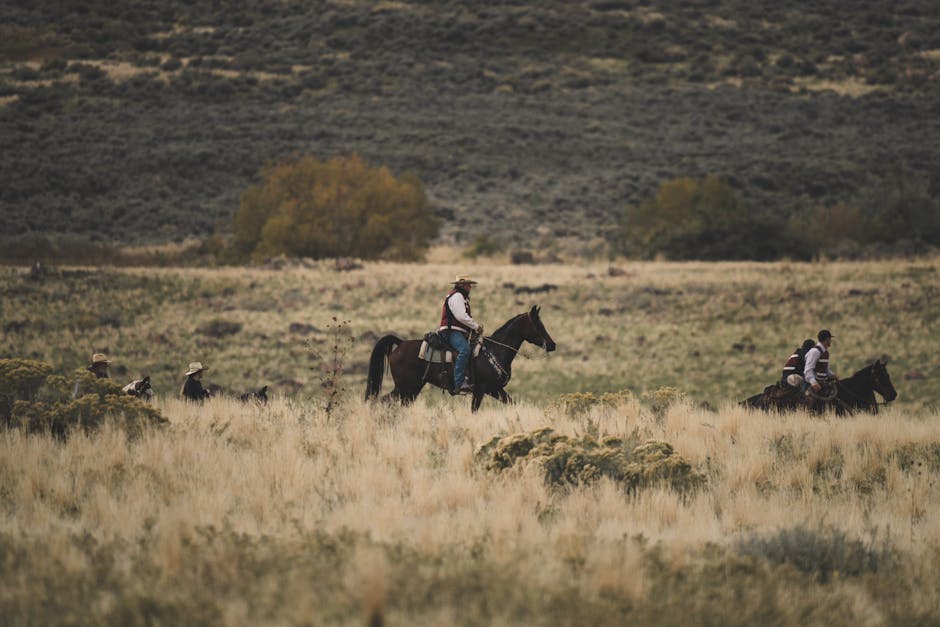 Taylor Sheridan Yellowstone