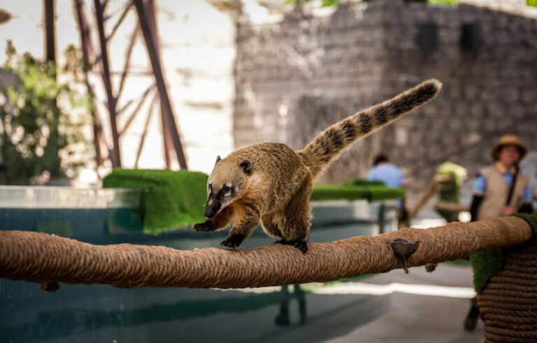 Zoológico de Fortaleza