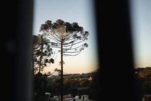 Convento da Penha natureza