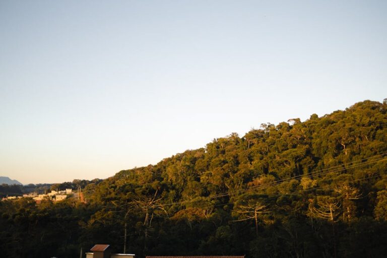 morte em mata Piauí