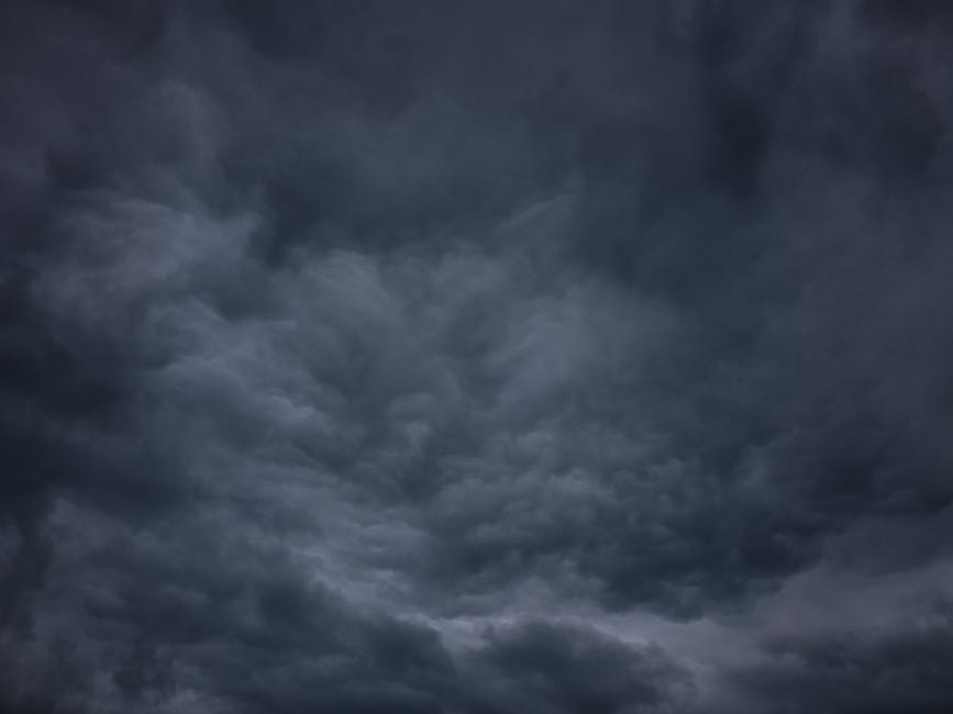 previsão de chuva Amazonas
