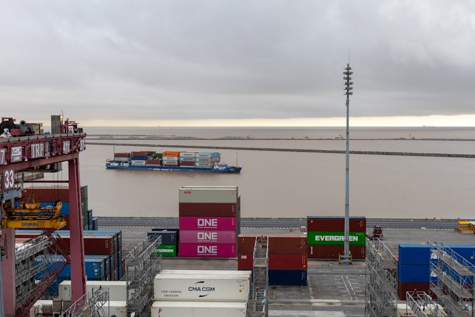 novo porto Manaus Moderna