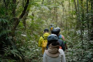 Parque Nacional da Tijuca