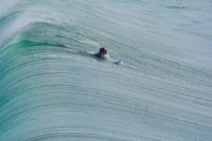 Tubarões Margaret River