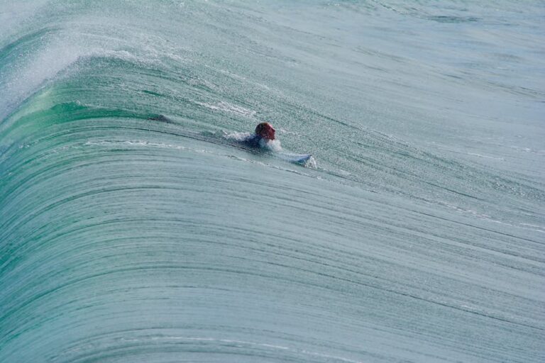 Tubarões Margaret River