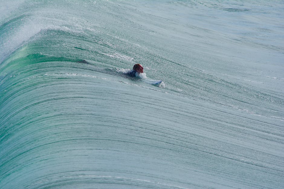 Tubarões Margaret River