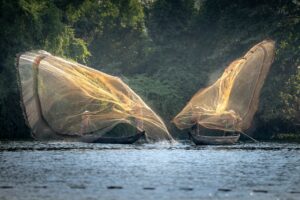 lei pesca Mato Grosso