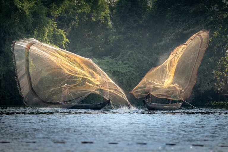 lei pesca Mato Grosso