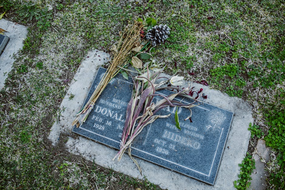 Cemitério do Bonfim problemas