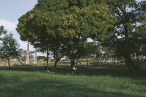 Calor em Mato Grosso do Sul