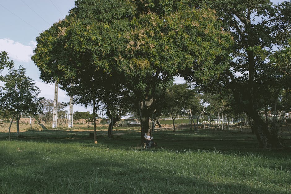 Calor em Mato Grosso do Sul