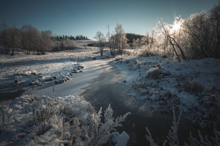 Winds of Winter lançamento