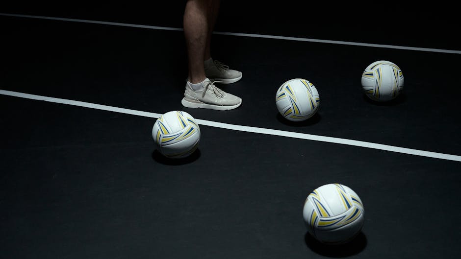 Renovação Bieler Suzano para a temporada 2026/27