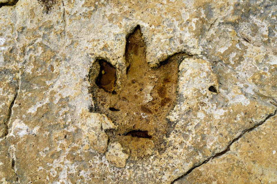 maior dinossauro Sudeste Asiático encontrado na Tailândia