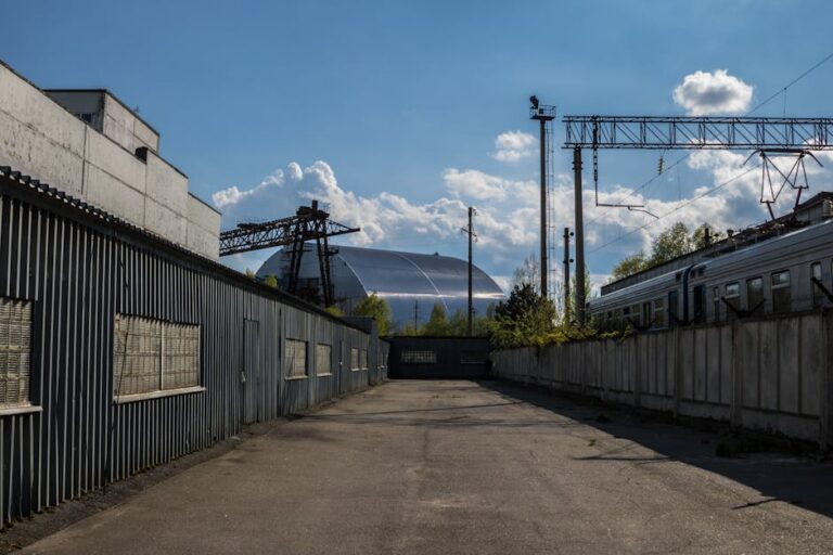 Chernobyl ainda afeta animais e radiação